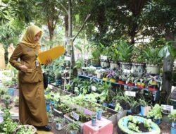 Gerakan ASN Menanam Sayur Masuki Tahap Penilaian