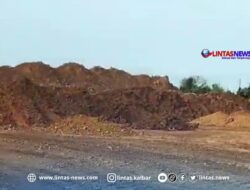 Terkait Status Izin PT. BMP dan CV. KQP Dicabut, Kapolres Ketapang : Sudah Pemulihan, DPMPTSP Kalbar : Belum Pemulihan