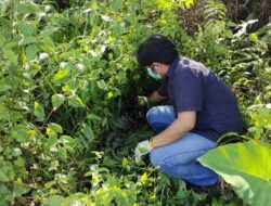 Temuan Mayat Bayi Dalam Kantong Plastik, Polres Melawi Bekerja Keras Ungkap Kasusnya