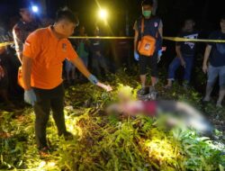 Mayat Laki-Laki Tergeletak di Kebun Karet
