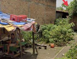 Warga Resah! Dadu Kopyok Berjalan Mulus di Kelurahan Pokok Mangga