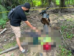 Penemuan Mayat Laki Laki Di Perkebunan Sawit, Gegerkan Warga Kecamatan Manis Mata