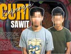 Kepergok Curi Sawit PT. BPK, Dua Pelaku Ditetapkan Tersangka