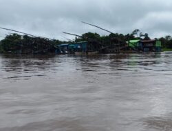 WALHI Kalbar Soroti Dugaan PETI di Bantaran Sungai Kapuas Sanggau, APH dan Pemerintah tak Diperhitungkan Pemodal