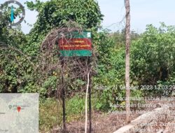 Aksi Tak Jera Tambang Ilegal Kembali Muncul di Pangkalpinang, Air Mawar Menjadi Sorotan