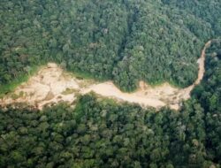 Diduga APH Tutup Mata, Tambang Emas Ilegal Kembali Marak Di Kabupaten Sintang