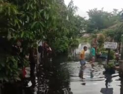 Curah Hujan Tinggi, Pemukiman Warga Terendam Banjir Cabang Kiri Teluk Kapuas Kubu Raya