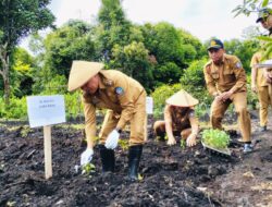 Upaya Kendalikan Inflasi, Pemkab Kubu Raya Galakkan Menanam Cabai