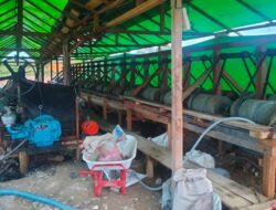 Sempat Viral, Pelaku Tambang Tanpa Ijin di Tangkap Polda Kalbar di Tumbang Titi Ketapang