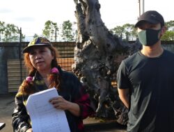 Sampah Dibersihkan Usai Exavator Pindah, Flavia Flora Apresiasi Hotel Qubu Resort sudah Kooperatif