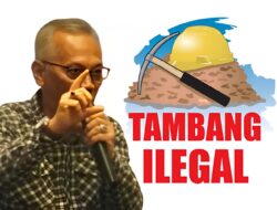 Pengamat Soroti Kerusakan Lingkungan Akibat Tambang Ilegal, Minta Pemda dan APH Serius Tindakan Tegas