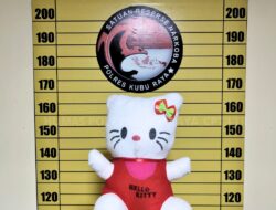 Modus Pakai Boneka Hello Kitty, Pengedar Sabu Antar Provinsi di Tangkap Polisi