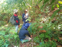 Pelatihan Assisted Natural Regeneration (ANR) Bagi Lembaga Pengelola Hutan Desa Pangkalan Telok Kabupaten Ketapang