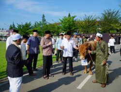 Polda Kalbar dan Polres Jajaran Salurkan 135 Ekor Sapi dan 134 Ekor Kambing, Kapolda Harap Pembagian Daging Qurban Merata Kepada yang Membutuhkan
