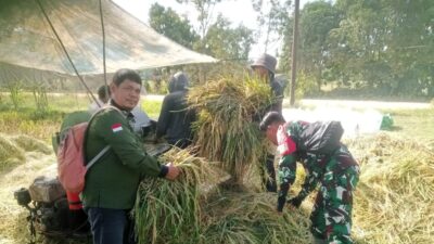 Peningkatan Ketahanan Pangan Babinsa Koramil 14/Belitang Hilir Praka Rifki Melca Komsos Dengan kelompok tani.
