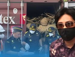 Bea Cukai Ungkap Gagal Ekspor 8 Kontainer Rotan ke China, Kuasa Hukum Bantah Ketidakhadiran Pemilik