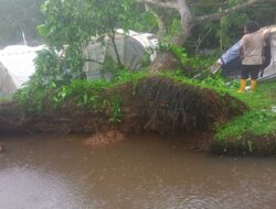 Relawan PMI Tewas Tertimpa Pohon di Perkemahan Se-Kalimantan Barat, Dua Lainnya Cedera