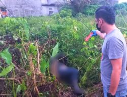 Pencurian Kabel Berujung Maut, Pria Tersengat Listrik Tegangan Tinggi di Kubu Raya