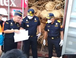 Delapan Kontainer Rotan Tak Terkirim ke Cina, Publik Tunggu Kejelasan Proses Hukum