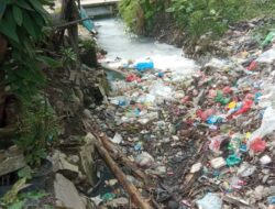 UD .SU ANDA membuang limbah B 3 Di Aliran Irigasi Secara Terbuka