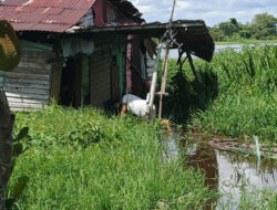 Ermi Ernawati, Janda Tangguh Tinggal di Rumah Tak Layak Huni di Pontianak Timur