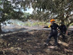 Gerak Cepat Sat Brimob Polda Kalbar Atasi Karhutla di Paris II