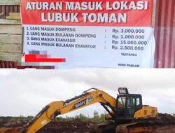 Tambang Emas Ilegal di Ketapang Kian Marak, Penegakan Hukum Tutup Mata