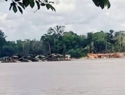 Tambang Emas Ilegal Mengganas di Sungai Melawi, APH Tutup Mata