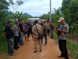 Sidak Peternakan Babi Terkait Dugaan Pencemaran Limbah di Kelurahan Pangmilang DPRD Kota Singkawng Turun Tanggan