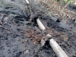 Limbah Cemari Sungai Jentu, PT SMS Didesak Bertanggung Jawab: Aktivis Minta Penegakan Hukum