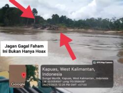 PETI di Sanggau Kian Brutal: Sungai Kapuas Dirusak, Negara Diam