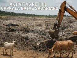 PETI Capkala Bengkayang Terbongkar: Bos Peti Mengakui Gunakan Alat Berat