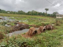 Seseorang Berinisial YW Tuntut Ganti Rugi ,Tanah Yang Dibangun Seluas 1 Hektar Didesa Lele