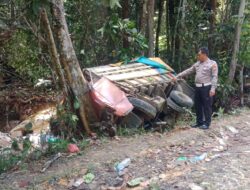 KECELAKAAN TUNGGAL MOBIL TRUCK DI WILKUM POLSEK SILAT HILIR, SATU ORANG MENGALAMI LUKA-LUKA