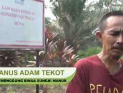 Hutan Adat Habis, Masyarakat Adat Terdesak: “Kami Tak Punya Ruang Hidup Lagi