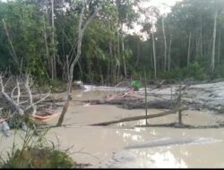 Damai di Bawah Tekanan: Wartawan Dipukul, Penambang Ilegal Aman ?