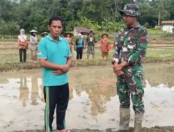 Wakil II DPRD KH Bersama Koramil 1206-14 Hulu Gurung Bentuk Pasukan Brigade Pangan