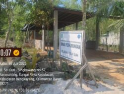 Teluk Suak Dikorbankan: Mangrove Dibabat, Aset Daerah Disulap Jadi Parkir Ilegal