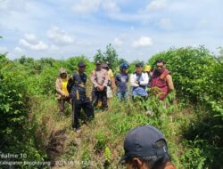 Olah TKP Kedua Kasus Pengrusakan Lahan di Bengkayang Dinilai Lambat
