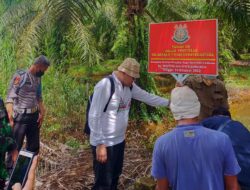 Vonis 10 Tahun dan UP 797 M, Akuang Tak Ditahan Hakim, Koperasi STM Diduga Masih Panen Sawit di Hutan Negara, Kastel Langkat : Dititip ke BKSDA