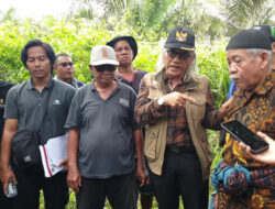Plasma Tak Jelas, Pajak Diduga Diselundupkan: Pengamat Minta Audit HGU Sawit