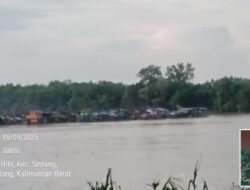 Instruksi Mabes Polri di Abaikan? PETI di Sungai Kapuas Sintang Terus Beroperasi, APH Tutup Mata
