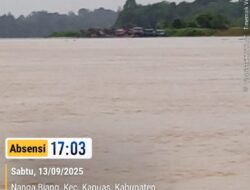 PETI di Sanggau: Razia Hanya Formalitas, Sungai Kapuas Kembali Tercabik Mesin Sedot