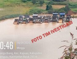 PETI di Sanggau: Sungai Kapuas Kembali Tercabik, Aparat Diduga Tutup Mata
