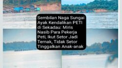 PETI di Sekadau: Miris Nasib Para Pekerja Tambang Emas Ilegal Dijadikan Tumbal