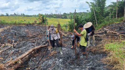 Polsek Ngabang Dukung Ketahanan Pangan, Bhabinkamtibmas Bersama Kelompok Tani Tanam Jagung di Desa Muun