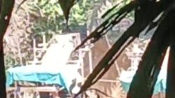 Kandungan Emas Sekadau Didulang APH Tutup Mata, Masyarakat Kebagian Air Limbah