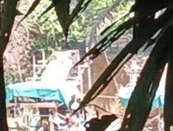 Kandungan Emas Sekadau Didulang APH Tutup Mata, Masyarakat Kebagian Air Limbah