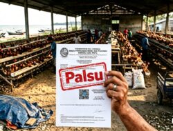 DI Buat Laporan Polisi Kasus Dugaan Penipuan dan Penggelapan Atas PBG Serta Perizinan usaha Palsu Kandang Ternak Ayam Petelur di Paluh Sibaji Pantai Labu, 1,1 Miliar Raib