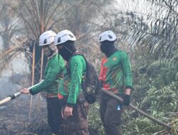 Cegah Karhutla Meluas, Tim SAR Polda Kalbar Padamkan Titik Api di Kubu Raya